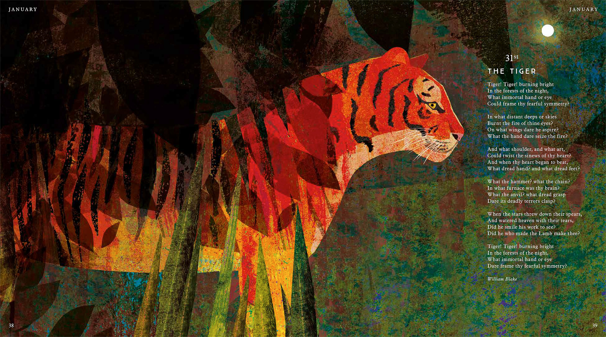 Tiger, Tiger, Burning Bright! - Image 3