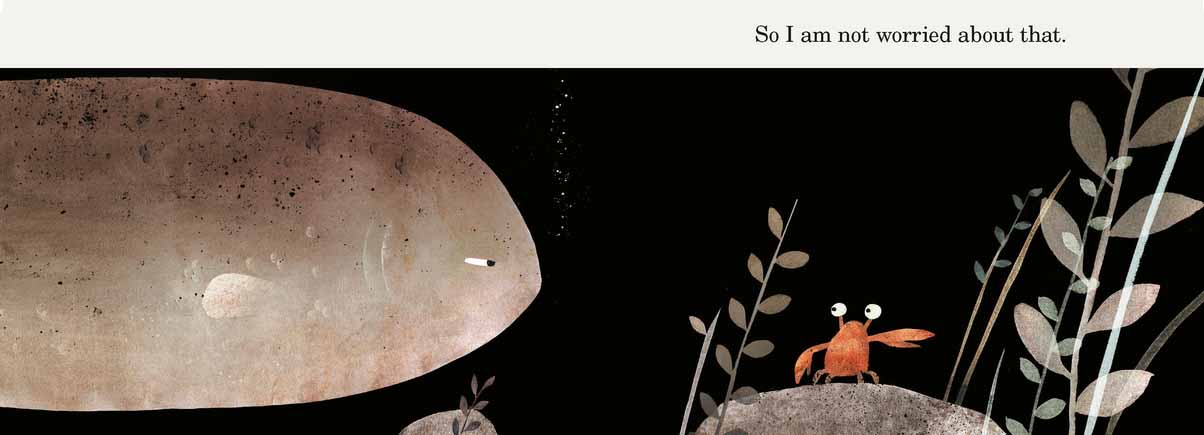This Is Not My Hat - Image 2