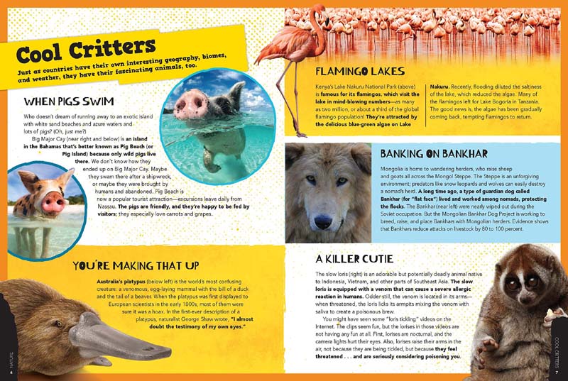 The Big World of Fun Facts - Image 6