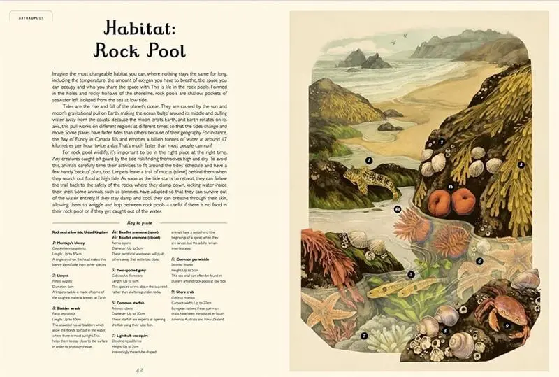 Oceanarium - Image 3