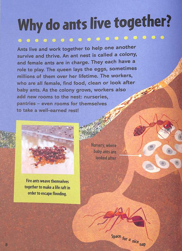 Brittanica First Big Book of Why - Image 3