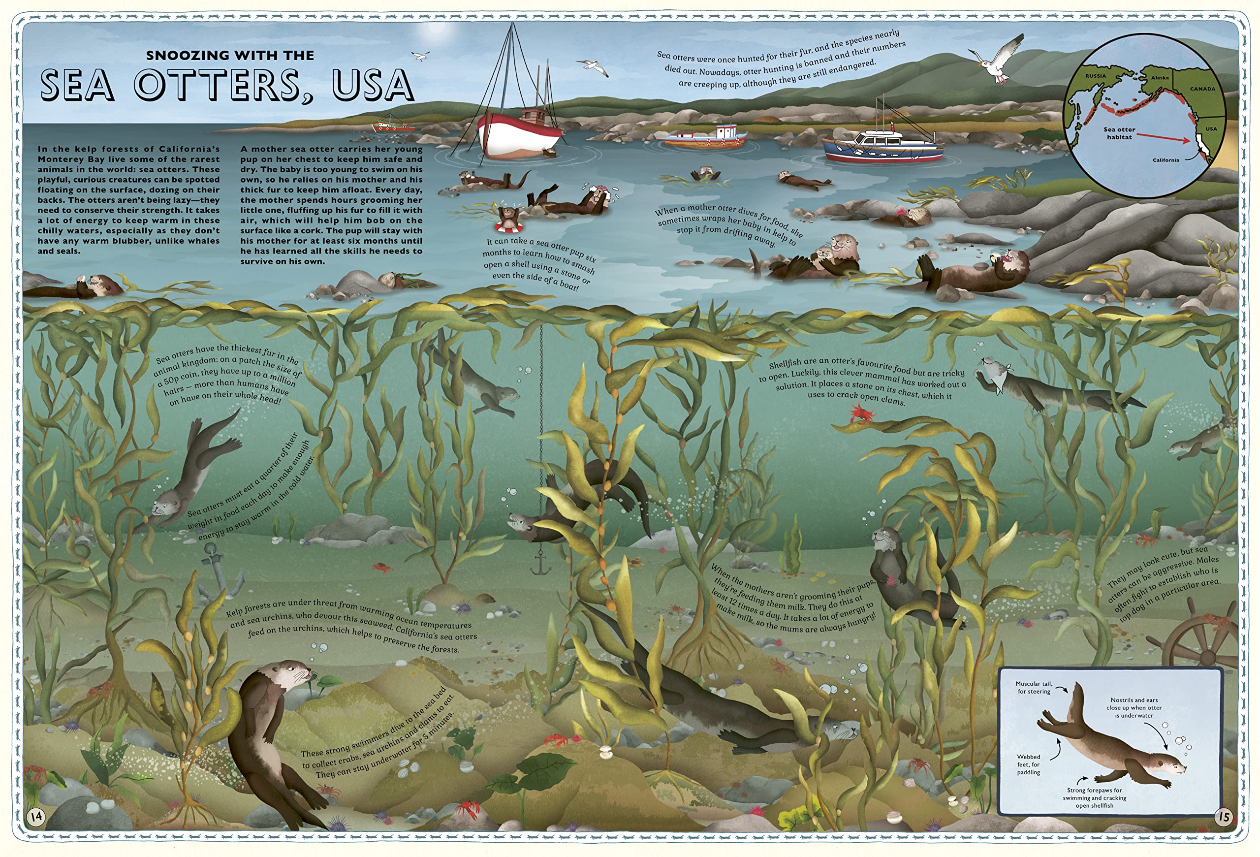 Atlas of Ocean Adventures - Image 6
