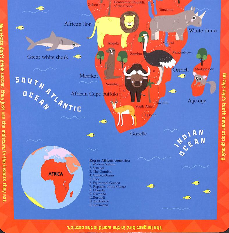 Scribblers Animal Atlas - Image 2