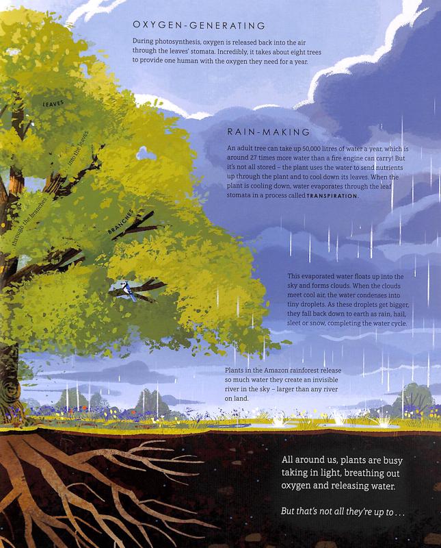 The Green Planet - Image 5