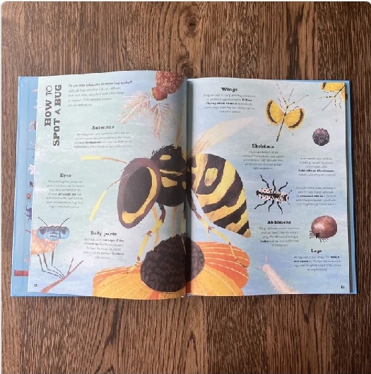 A Bug's World - Image 3