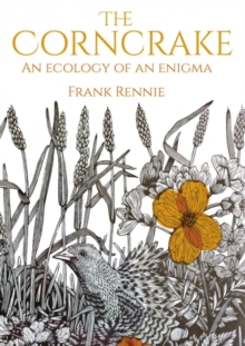 The Corncrake (25th March)