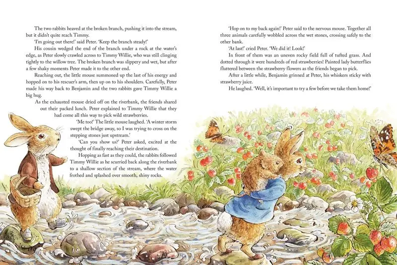 Peter Rabbit: Tales from the Countryside - Image 4