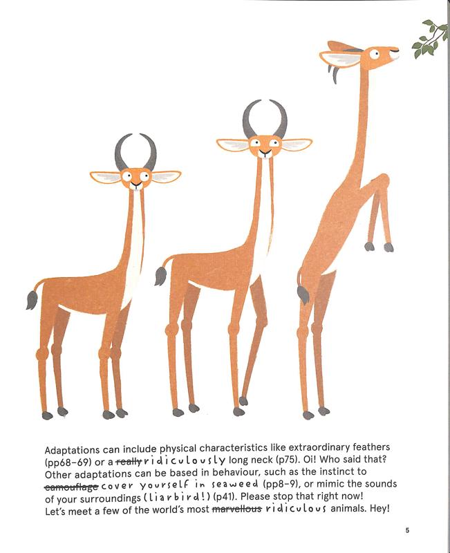 The World's Most Ridiculous Animals - Image 5