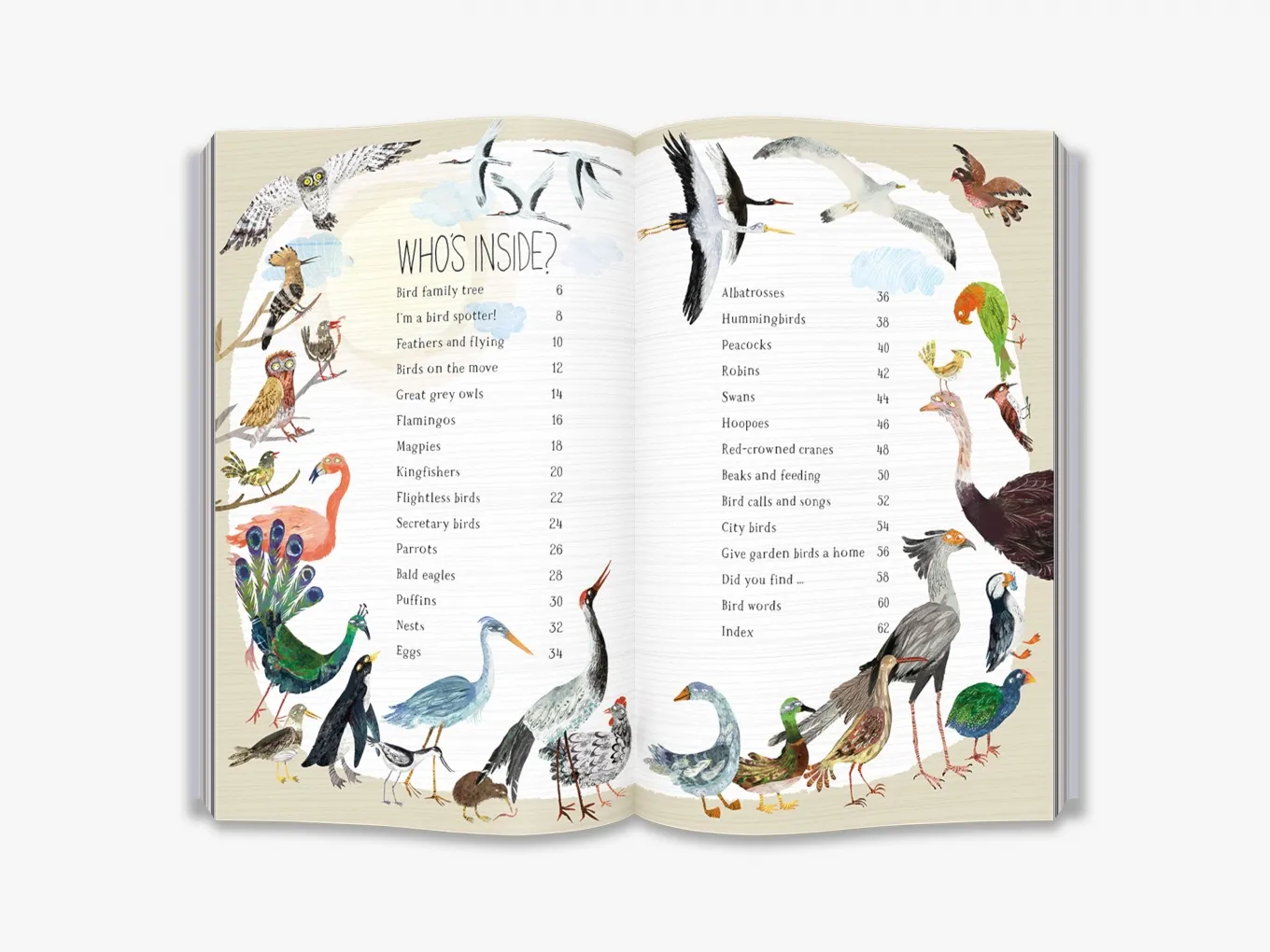 The Big Book of Birds - Image 3