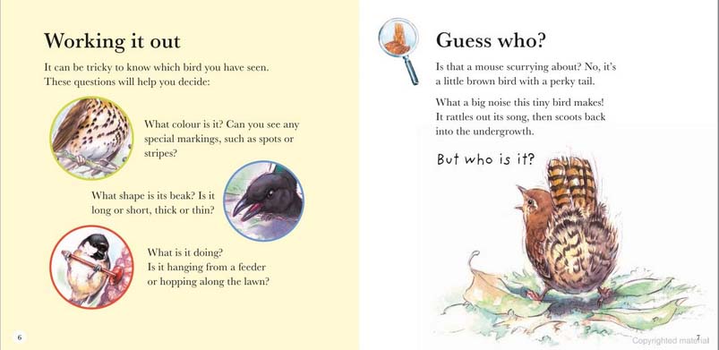 RSPB My First Book of Garden Birds - Image 3