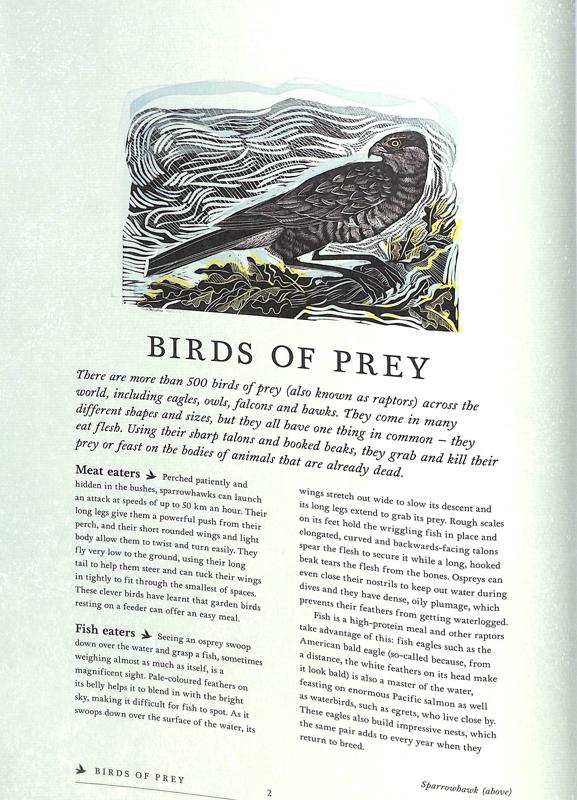 RSPB Birds: Explore their Extraordinary World - Image 7