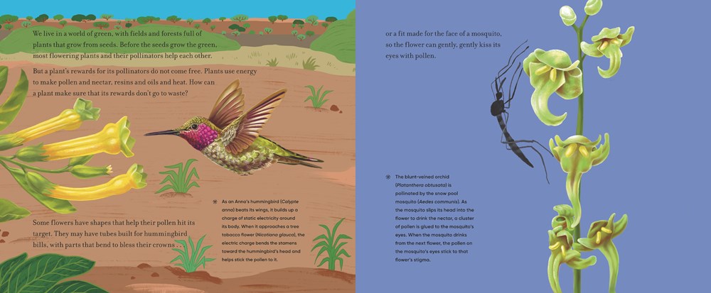 Before the Seed: How Pollen Moves - Image 3