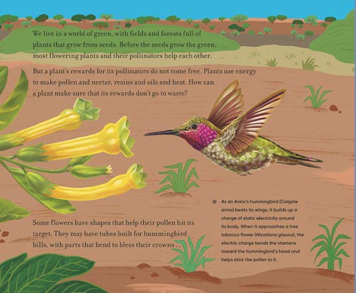 Before the Seed: How Pollen Moves - Image 7