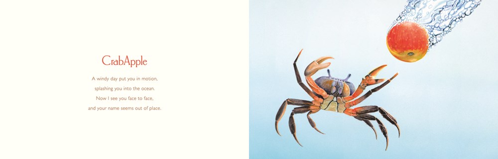 You Stole My Name Too : A Curious Case of Animals and Plants with Shared Names (Picture Book) - Image 2
