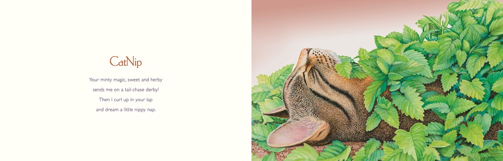 You Stole My Name Too : A Curious Case of Animals and Plants with Shared Names (Picture Book) - Image 3