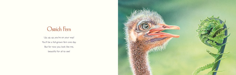 You Stole My Name Too : A Curious Case of Animals and Plants with Shared Names (Picture Book) - Image 4
