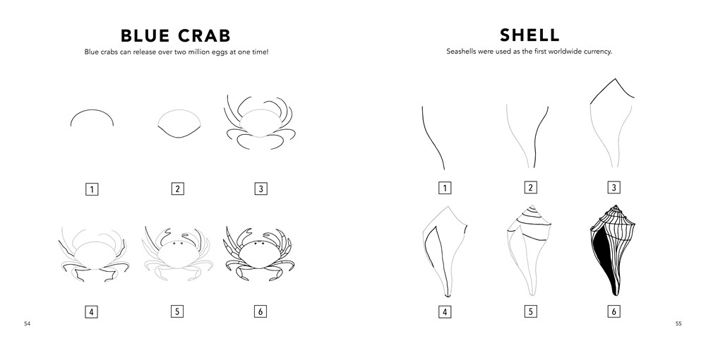 Under the Sea: How to Draw Books for Kids with Dolphins, Mermaids, and Ocean Animals (Mini) - Image 5